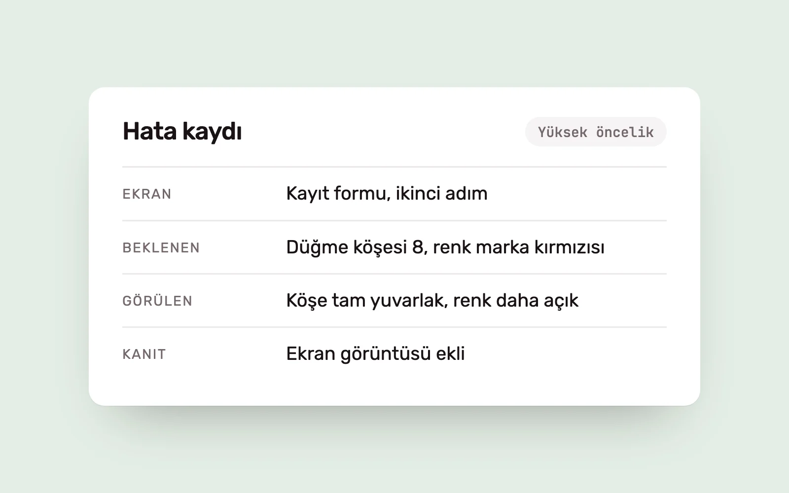 Example bug report with screen, expected result, actual result and evidence fields