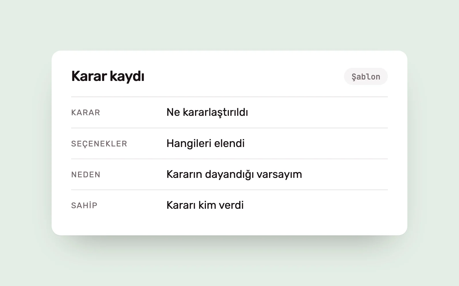 Karar, seçenekler, neden ve sahip alanlarından oluşan karar kaydı şablonu