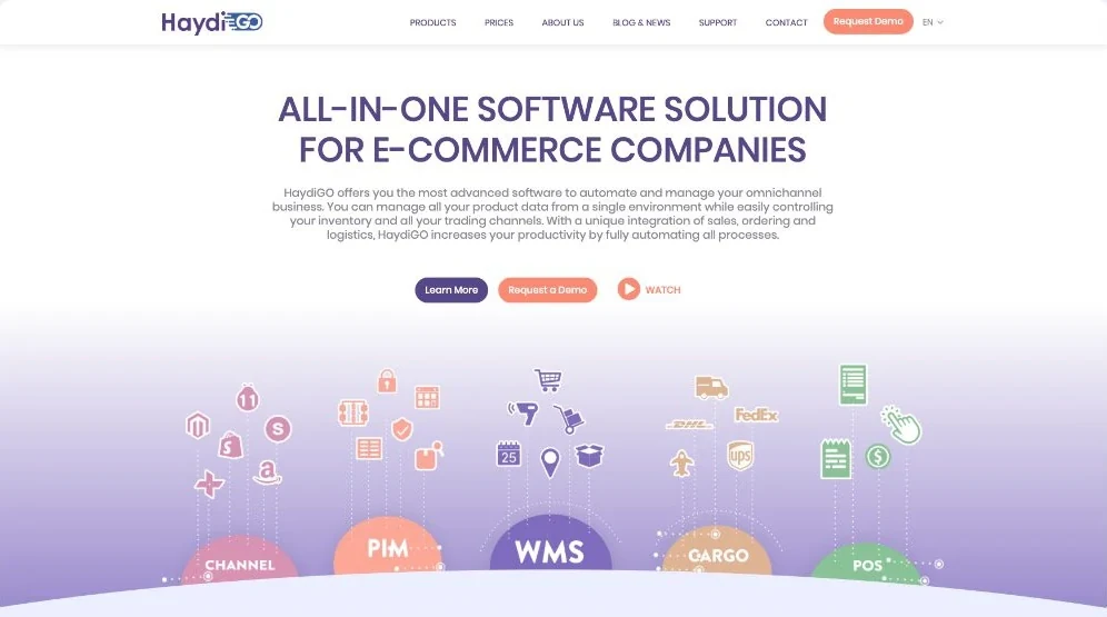 Ninja karakterleri ve “all-in-one software solution for e-commerce companies” mesajıyla HaydiGo ana sayfası