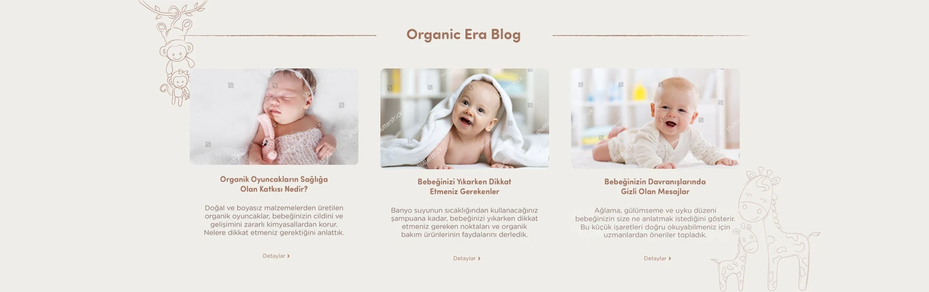 Marka ve organik yaşam içeriklerini sunan üç blog kartı.