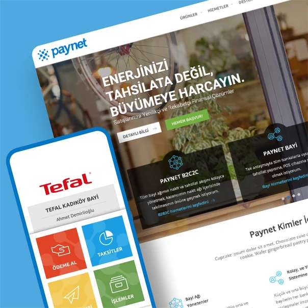 Paynet arayüzü